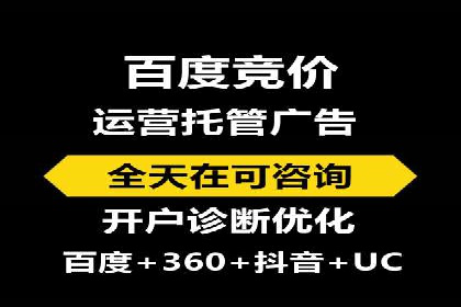 SEM搜索引擎优化策略解析与应用案例